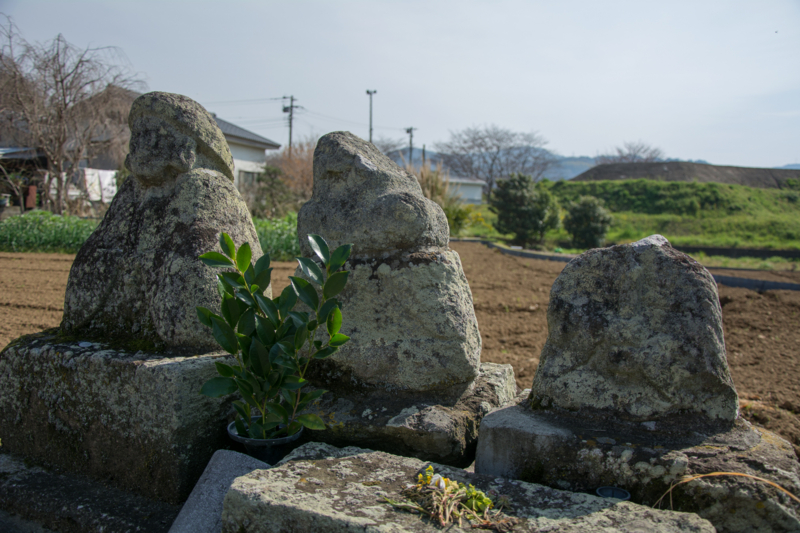 f:id:qshiro:20160330185137j:image:w360