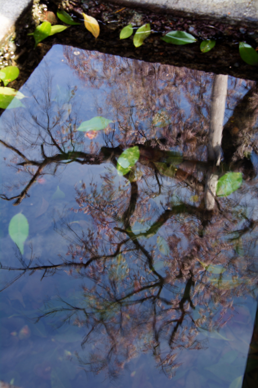 f:id:qshiro:20160330185414j:image:w260