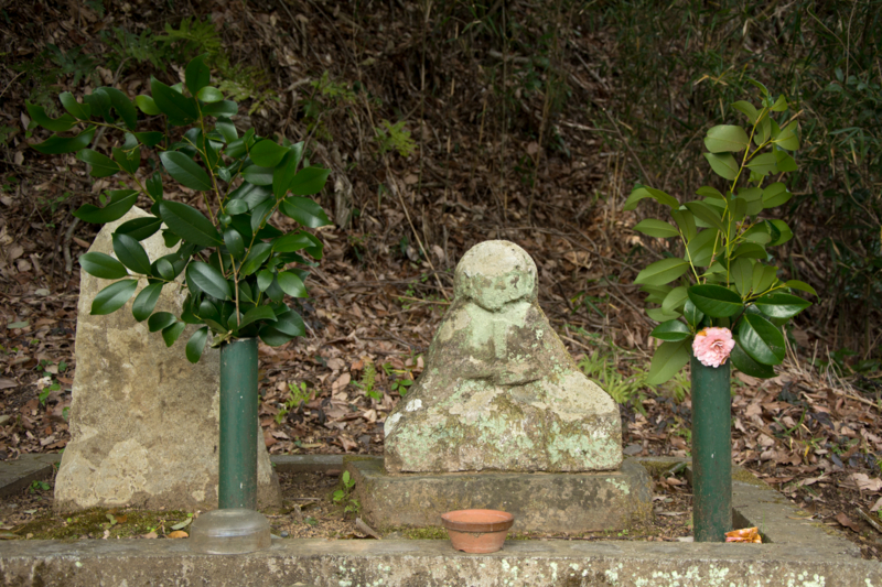 f:id:qshiro:20160330185533j:image:w360