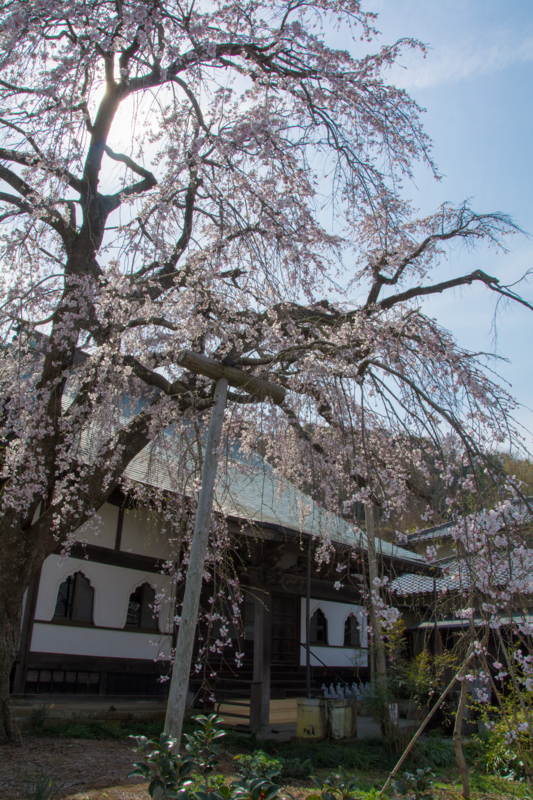 f:id:qshiro:20160330195209j:image:w260