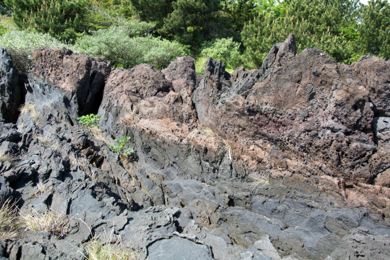 城ケ崎の磯場 1 牛歩的写真中心網録 城ケ崎の磯場 1 牛歩的写真中心網録