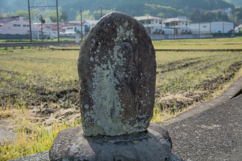 f:id:qshiro:20160423141104j:image:w360