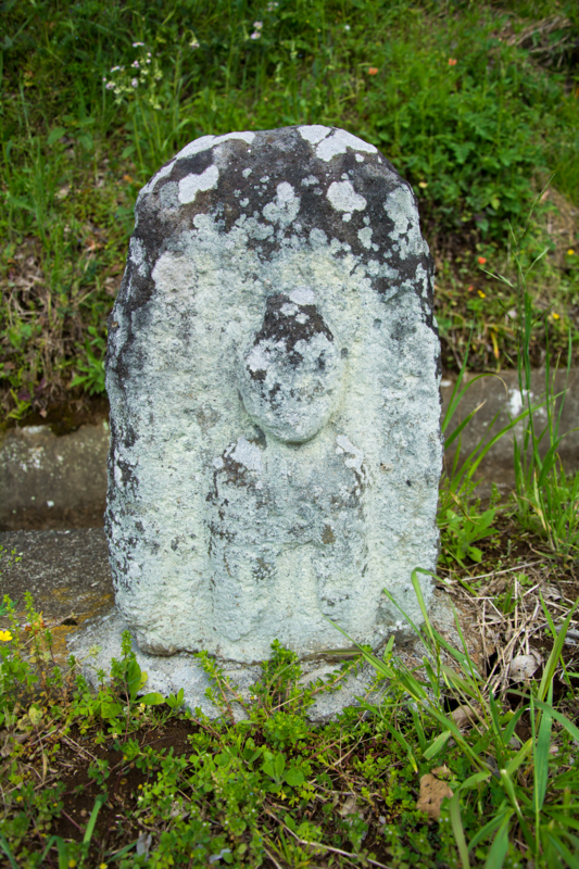 f:id:qshiro:20160423141153j:image:w260