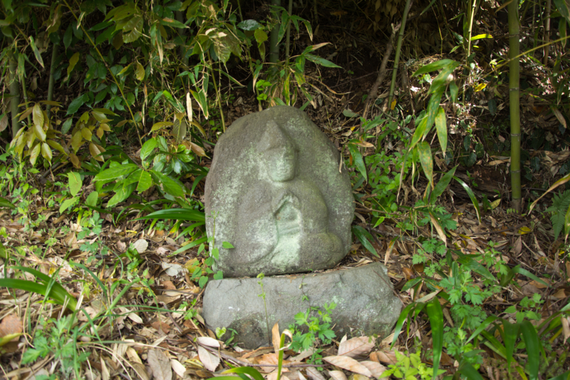 f:id:qshiro:20160423141206j:image:w360