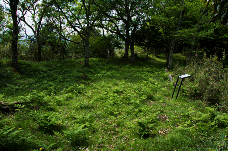 f:id:qshiro:20160423141308j:image:w360