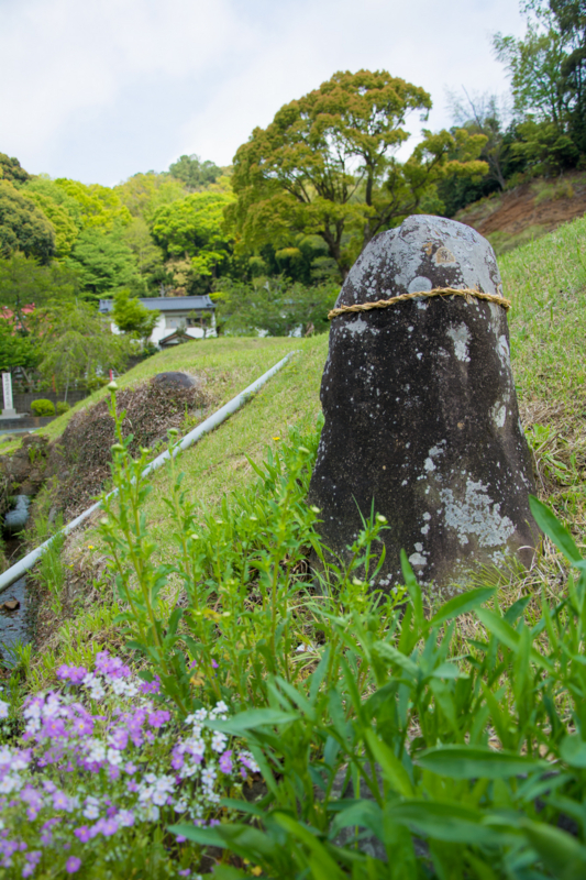 f:id:qshiro:20160423142433j:image:w260