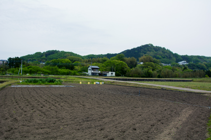 f:id:qshiro:20160427141157j:image:w360