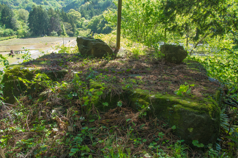 f:id:qshiro:20160504150136j:image:w360