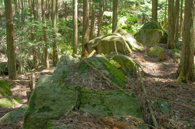 f:id:qshiro:20160504150149j:image:w360