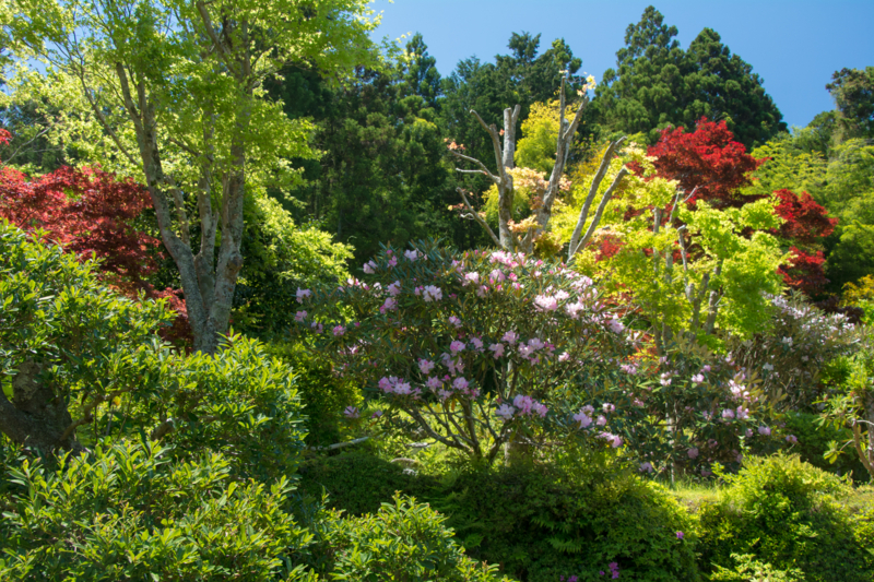 f:id:qshiro:20160504150154j:image:w360