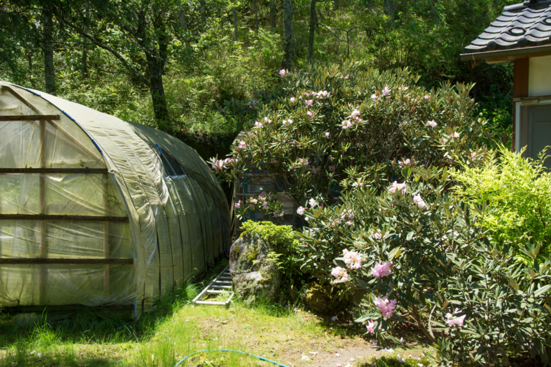 f:id:qshiro:20160504150201j:image:w360