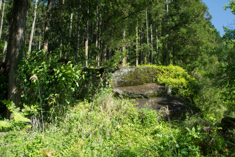 f:id:qshiro:20160504150310j:image:w360