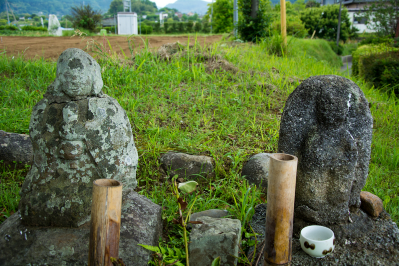 f:id:qshiro:20160516195308j:image:w360