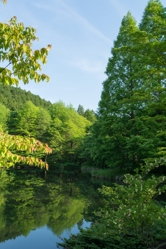 f:id:qshiro:20160524081212j:image:w360