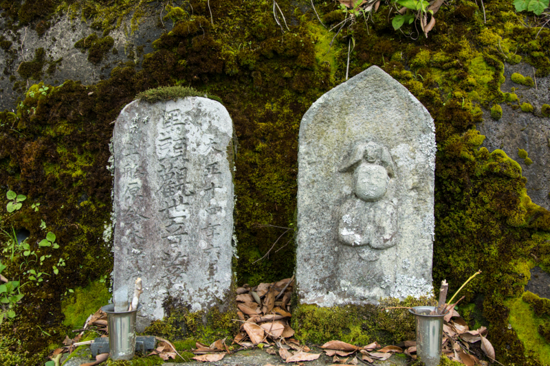 f:id:qshiro:20160525172541j:image:w360