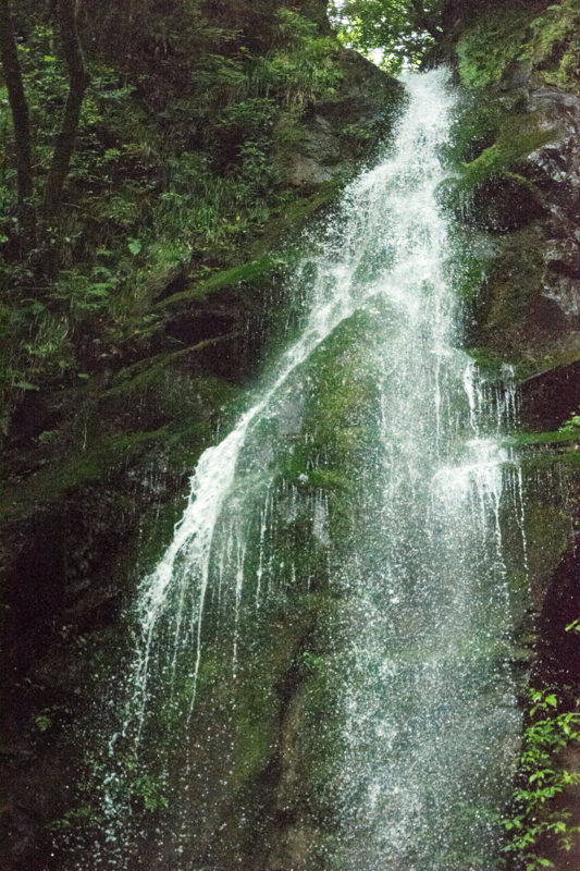 f:id:qshiro:20160525172553j:image:w260