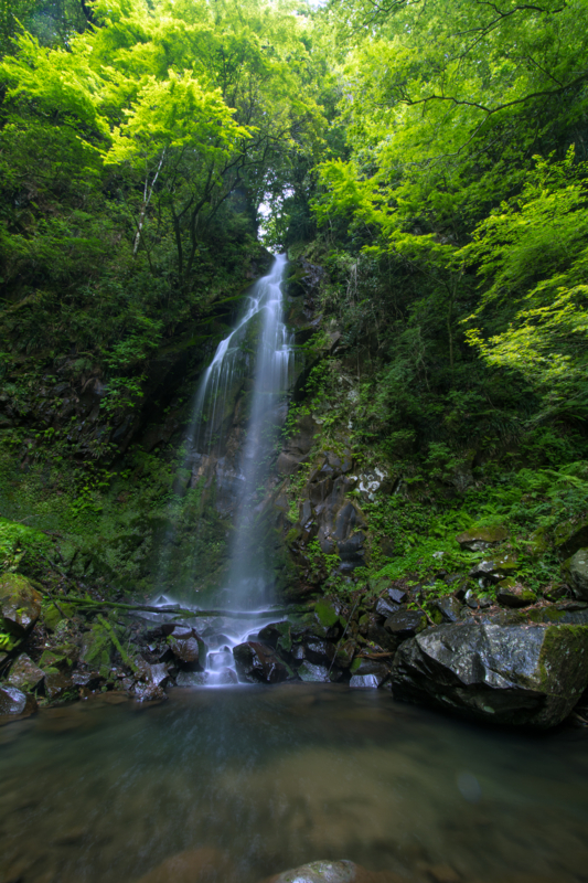 f:id:qshiro:20160525172600j:image:w260