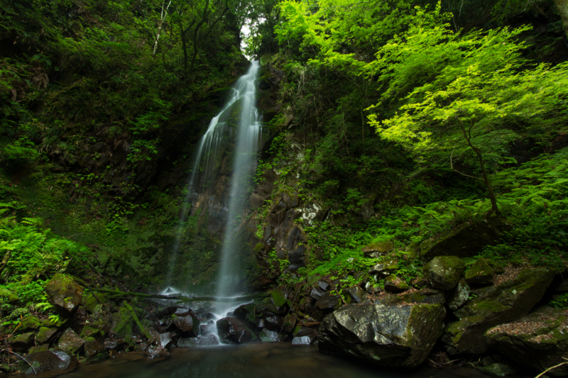 f:id:qshiro:20160525172607j:image:w360