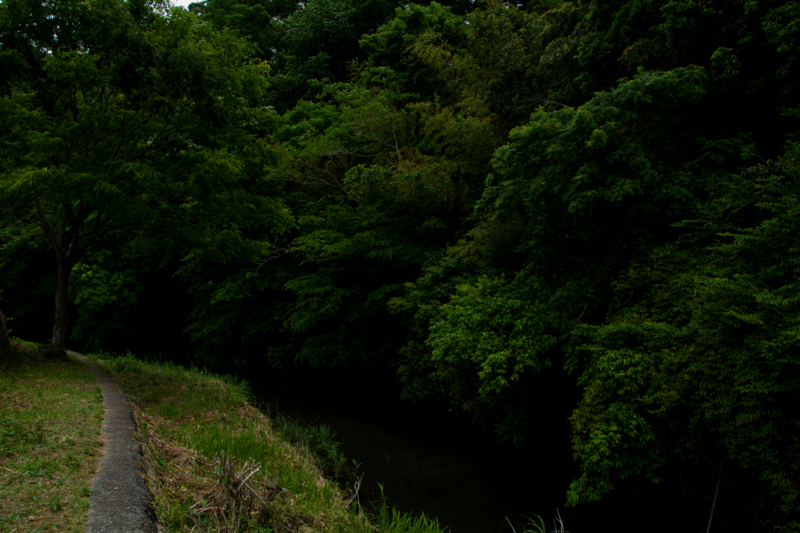 f:id:qshiro:20160525172643j:image:w360