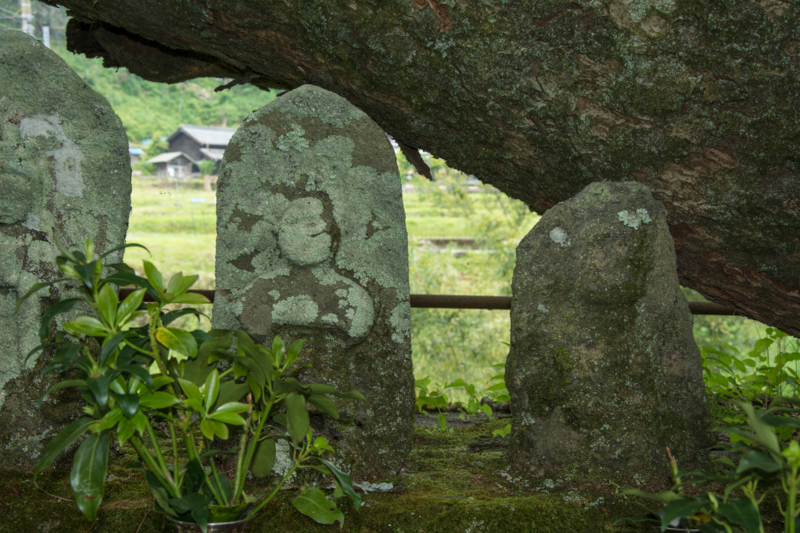 f:id:qshiro:20160525172648j:image:w360