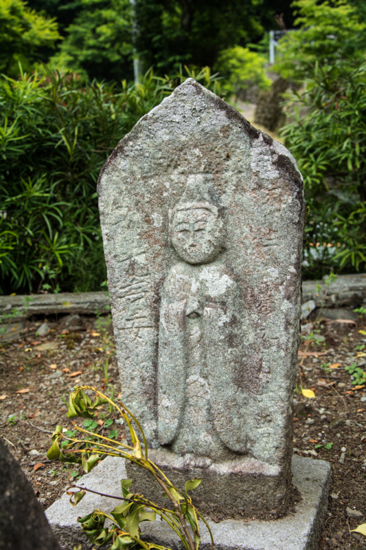 f:id:qshiro:20160525172700j:image:w260