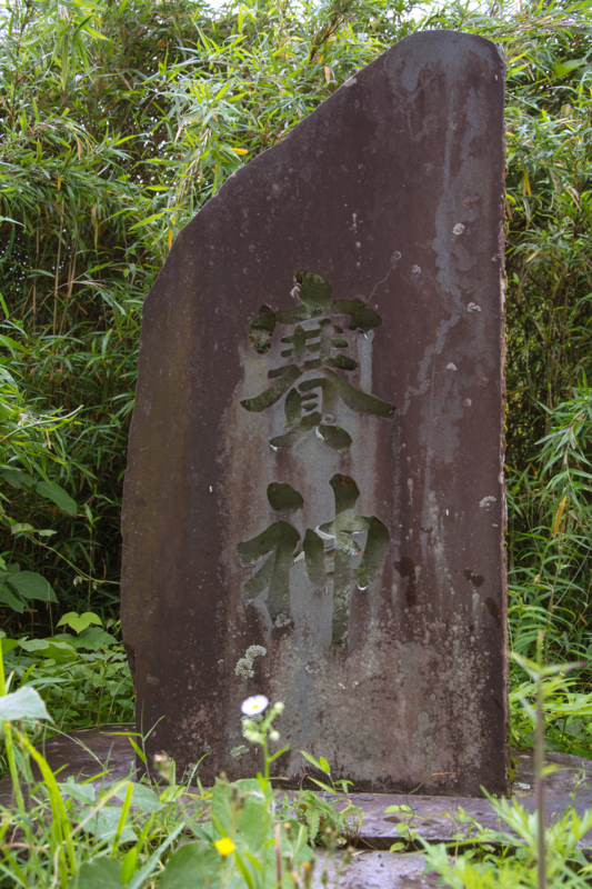 f:id:qshiro:20160527185948j:image:w260