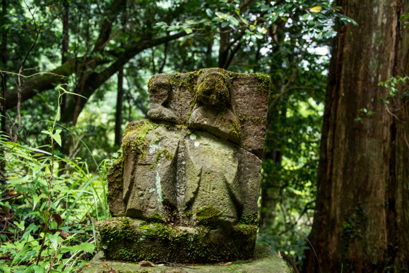 f:id:qshiro:20160527190253j:image:w360