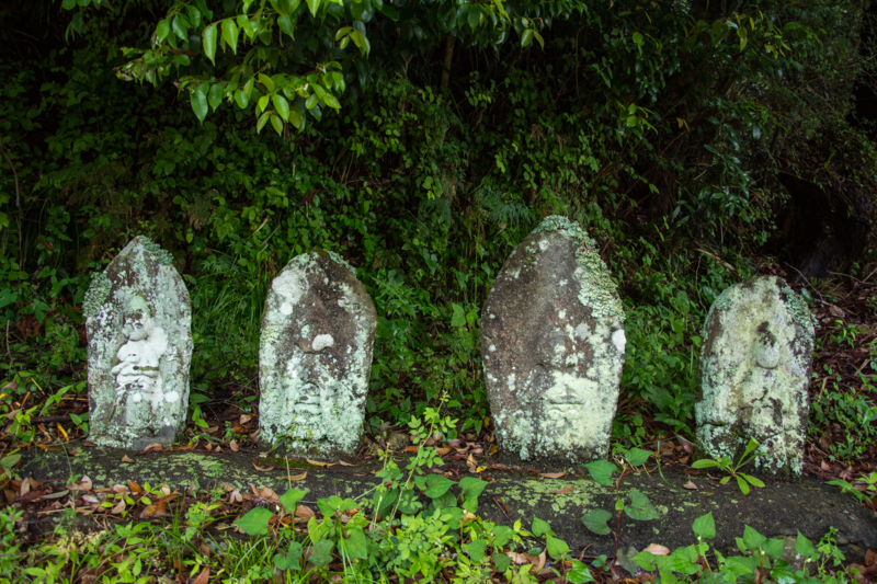 f:id:qshiro:20160527190310j:image:w360