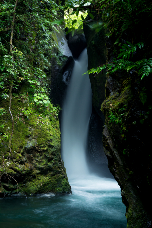 f:id:qshiro:20160527190319j:image:w260