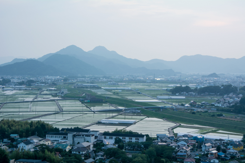 田方平野の夕景 牛歩的写真中心網録”