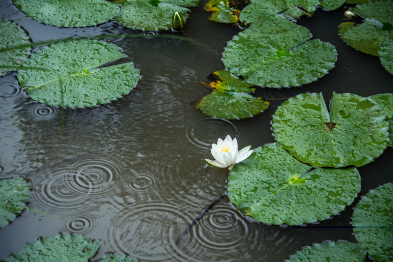 f:id:qshiro:20160713161201j:image:w640