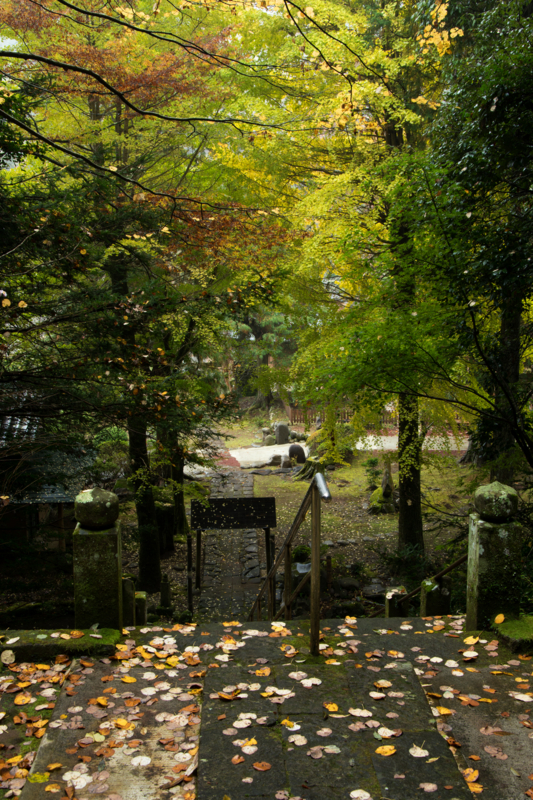 f:id:qshiro:20161115184842j:image:w260