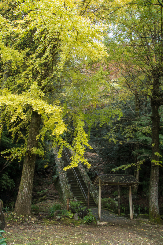 f:id:qshiro:20161115184906j:image:w260