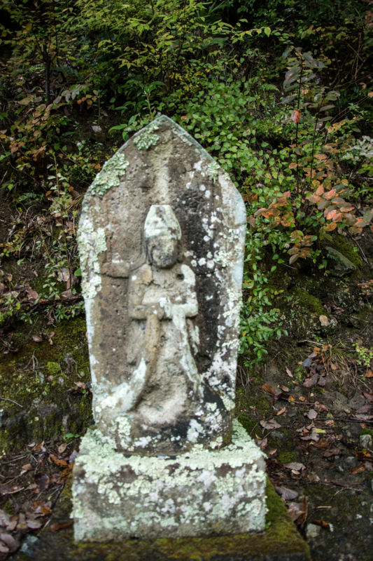 f:id:qshiro:20161115184914j:image:w160