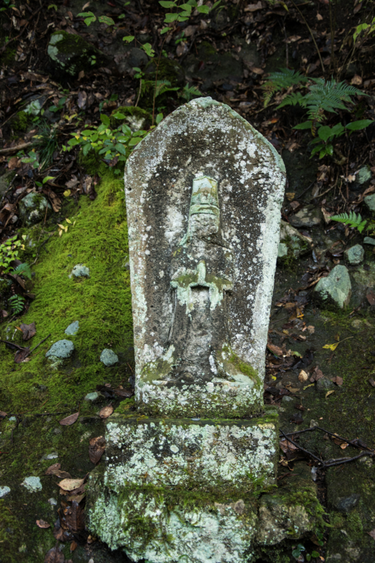 f:id:qshiro:20161115185118j:image:w160