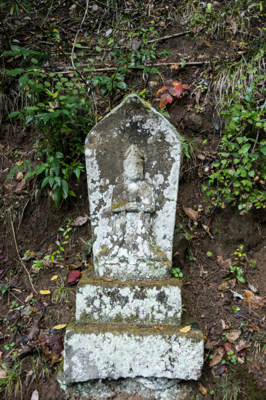 f:id:qshiro:20161115185125j:image:w160