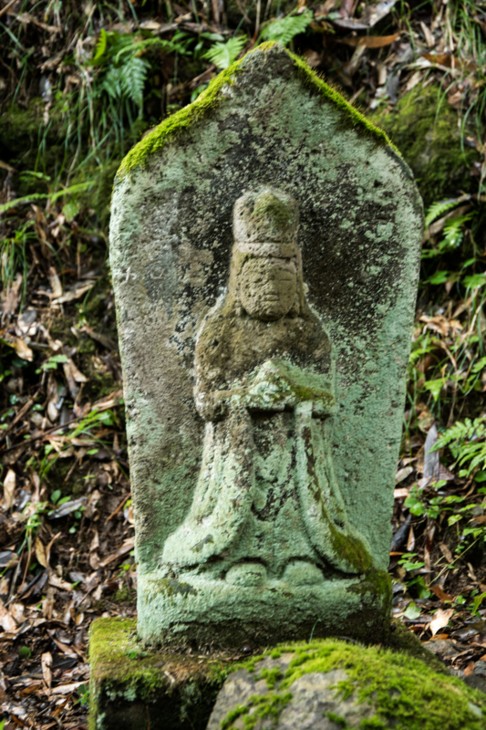 f:id:qshiro:20161115185137j:image:w160