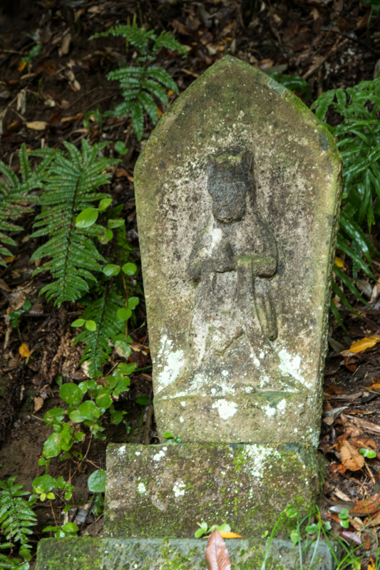 f:id:qshiro:20161115185244j:image:w160