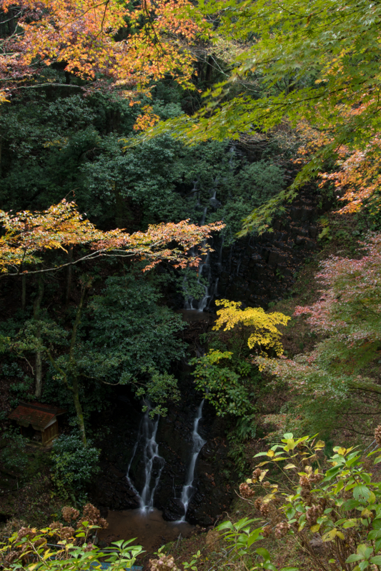 f:id:qshiro:20161115185421j:image:w260