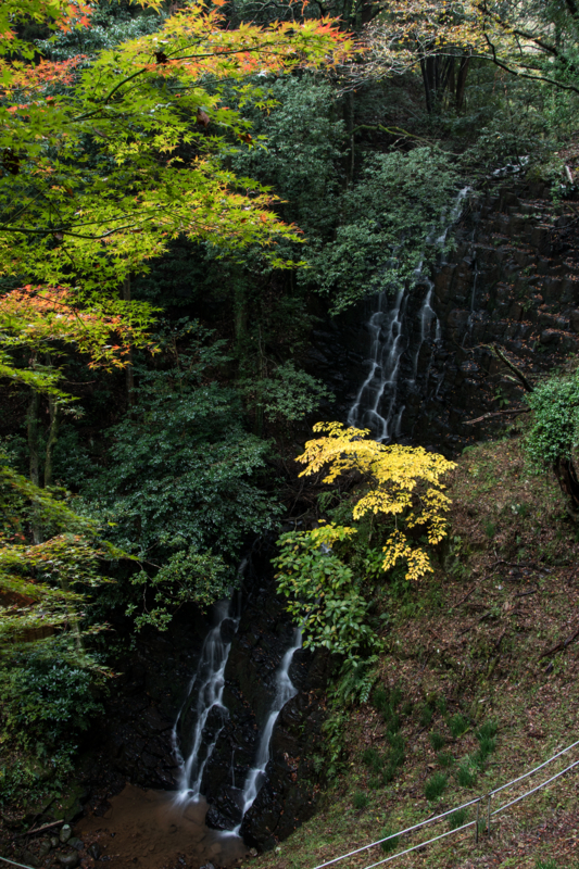 f:id:qshiro:20161115185457j:image:w260