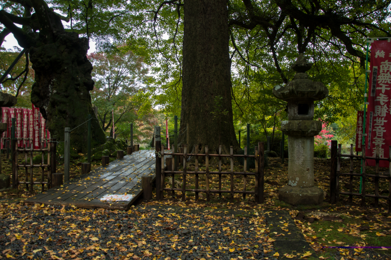 f:id:qshiro:20161115194226j:image:w360