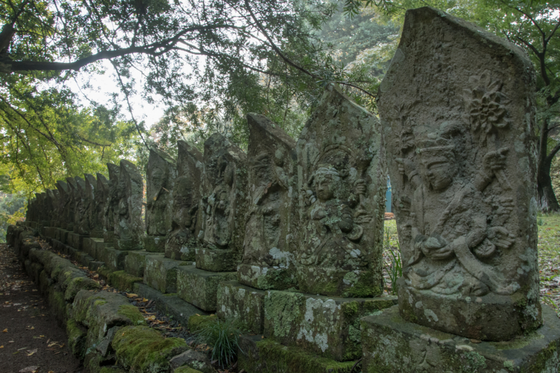 f:id:qshiro:20161115194420j:image:w220