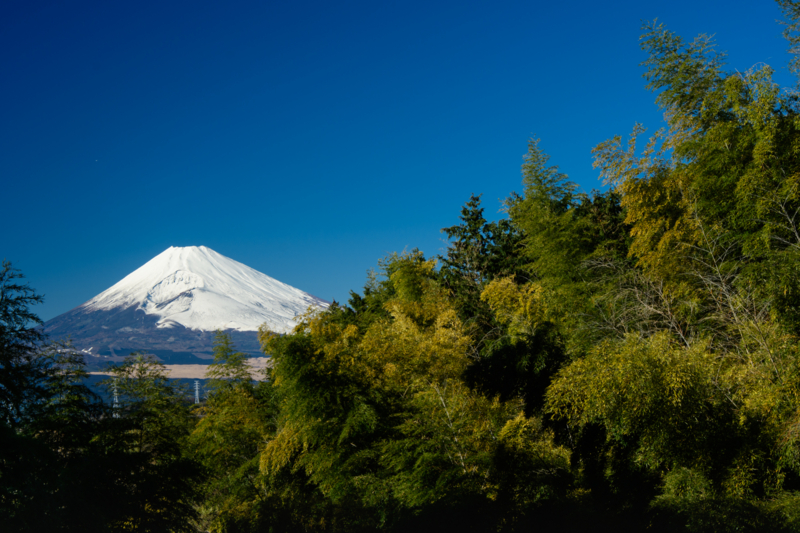 f:id:qshiro:20161228194859j:image:w360