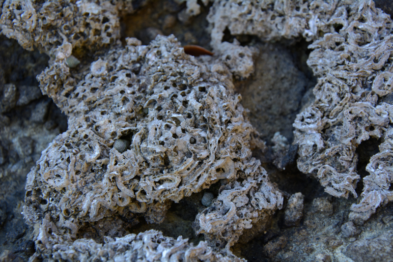 f:id:qshiro:20170207202004j:image:w360