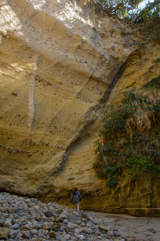 f:id:qshiro:20170207202006j:image:w260