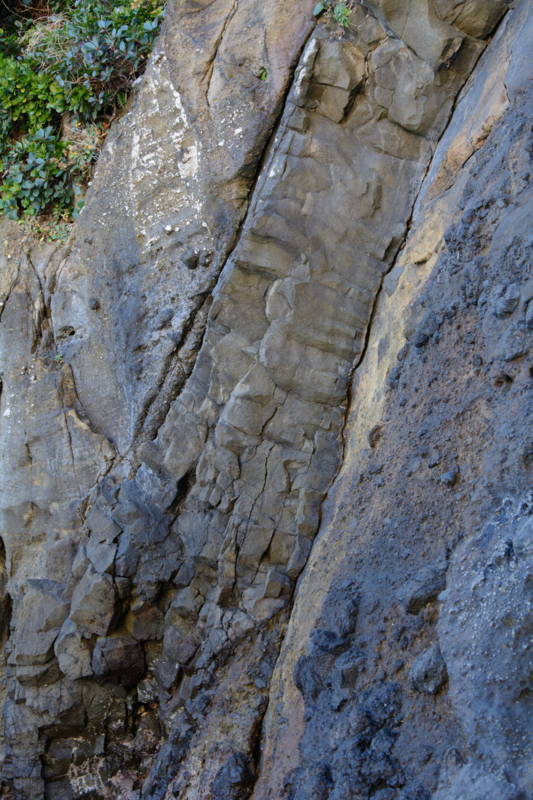 f:id:qshiro:20170207202012j:image:w260