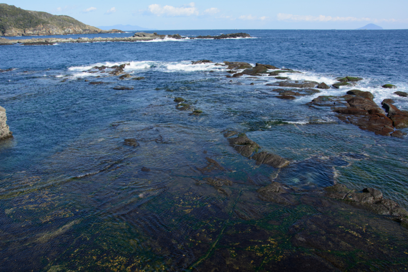 f:id:qshiro:20170207202018j:image:w360