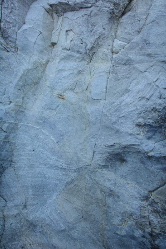 f:id:qshiro:20170207202022j:image:w260