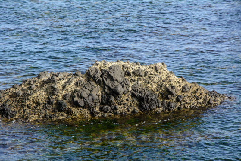 f:id:qshiro:20170207202026j:image:w360