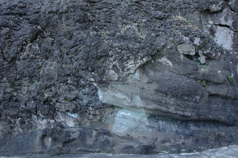 f:id:qshiro:20170207202030j:image:w360